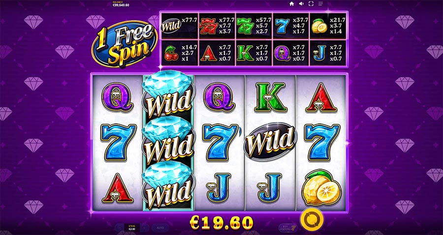 Bikini Paradise ????????