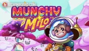 ??? ???? ??? ??? ??? ??? ?????????????????????