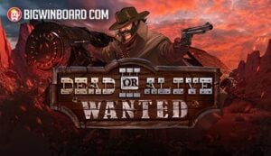 ???????? ?????? ??? ??? ???? ???? 2019 ??????????? NetEnt