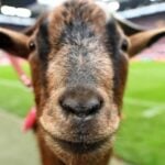 ???????? ?? ?? ??? ??? ?? ??? ????? ???? ?????? ? ? ??? ?? ???????????????