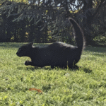 ???????? ?????? ??? ????? ?? ??? ???????????????